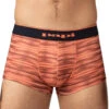 Papi Microflex Brazilian Trunks 2-Pack UMPA026