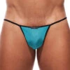 Gregg Homme Voyeur G-String 100614