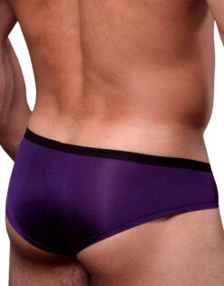 Doreanse Boost Cheeky Brief 1377 -Underline Fashion Store 1377 PPL 1