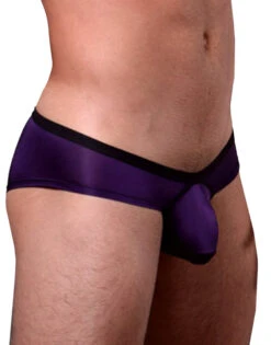 Doreanse Boost Cheeky Brief 1377 -Underline Fashion Store 1377 PPL 2
