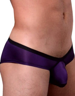Doreanse Boost Cheeky Brief 1377 -Underline Fashion Store 1377 PPL 3