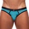 Gregg Homme Room-Max Brief 152703