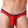 Gregg Homme Voyeur Thong 100604