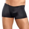 Male Power Satin Lo Rise Pouch Trunk 153-076