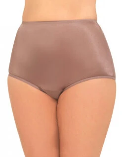 Vanity Fair Perfectly Yours Ravissant Premium Tailored Nylon Brief - 15712 -Underline Fashion Store 207118