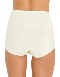 Vanity Fair 3-Pack Lollipop Brief 15361 -Underline Fashion Store 224022