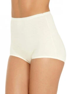 Vanity Fair 3-Pack Lollipop Brief 15361 -Underline Fashion Store 224024