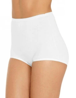 Vanity Fair 3-Pack Lollipop Brief 15361 -Underline Fashion Store 224025