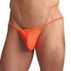 Male Power Euro Male Spandex Pouch G-String Pak-870
