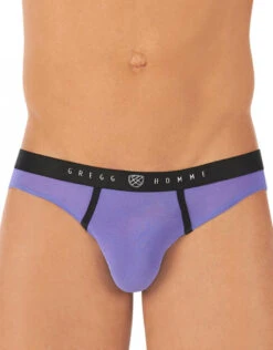 Gregg Homme Torridz Brief 87423