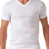 2xist Men's Pima Cotton V-Neck T-Shirt 041010