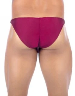 Joe Snyder Men's MaxiBulge Bikini JSMBUL01 13 Joe Snyder Men's MaxiBulge Bikini JSMBUL01 -Underline Fashion Store 385487 c2cfb384 6dfa 4491 8eca 864d08e2350c