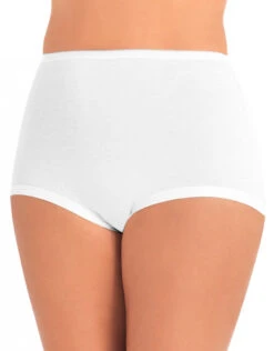 Vanity Fair 3-Pack Lollipop Cuffed Legband Brief 15367