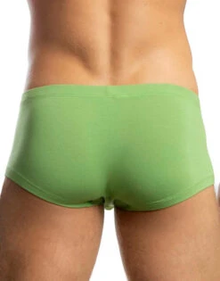 Jack Adams Bikini Boxer Brief 401-281 -Underline Fashion Store 401 281BikiniBoxerForrestBack 684x1026 a38fab0c ae6f 4f8a 8798 2f850a620f83