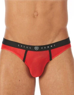 Gregg Homme Torridz Brief 87423 -Underline Fashion Store 421081