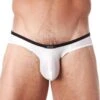Gregg Homme Voyeur Brief 100603
