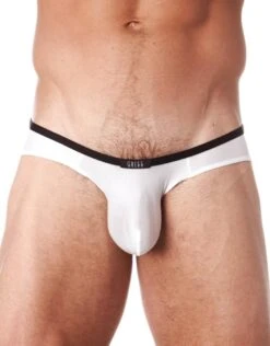 Gregg Homme Voyeur Brief 100603