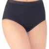 Vanity Fair Comfort Where It Counts Brief Panty 13163