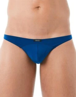 Gregg Homme Wonder Brief 96103 -Underline Fashion Store 96104 royal wonder close front.jpg 1 a4ae6764 e979 4830 bd81 8845483b98bd