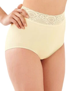Bali Lacy Skamp Brief Panty DF2744 -Underline Fashion Store Bali 2744 Moonlight B