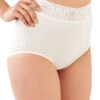 Bali Lacy Skamp Brief Panty DF2744