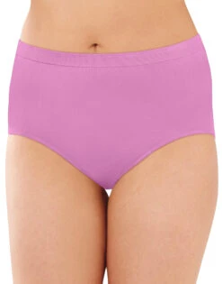 Bali Comfort Revolution Seamless Brief Panty DF803J -Underline Fashion Store Bali 803J Winter Lilac B