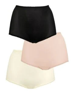 Bali Skimp Skamp Full Brief Panty 3 Pack DFA633 -Underline Fashion Store Bali DFA633 BlackRosewoodMoonlight FLAT becc537d 0245 476d 9941 50df1530de5f