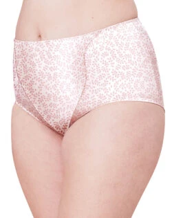 Bali Light Control Lace Panel Brief 2-Pack DFX372 -Underline Fashion Store Bali DFX372 PinkLeaf B