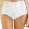 Bali Light Control Lace Panel Brief 2-Pack DFX372