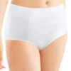 Bali 2-Pack Tummy Panel Brief DFX70J