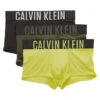 Calvin Klein Intense Power Micro Low Rise Trunk NB2593