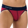 Clever Simple Bikini Grape 0946