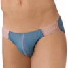Clever Line Bikini Gray 0950