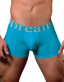 Doreanse Cotton Modal Essential Boxer Brief 1777 -Underline Fashion Store Doreanse 1777 Turquoise B 3