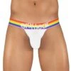 ErgoWear Max XV Pride Jockstrap EW1113