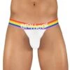 ErgoWear Max XV Pride Bikini EW1115