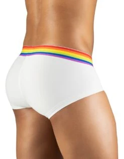 ErgoWear Max XV Pride Boxer Brief EW1116 5 ErgoWear Max XV Pride Boxer Brief EW1116 -Underline Fashion Store EW1116 3
