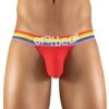 ErgoWear Max XV Pride Thong EW1119