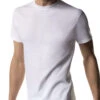 Hanes Men 3-Pack Crew Neck T-Shirts White 2135