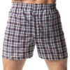 Hanes Men Tartan Boxers With Comfort Flex Waistband 2-Pack 838VTY