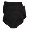 Hanes Comfort Period.™ Briefs Period Underwear Moderate Leaks FD40BL