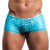 MOB Rose Lace Boy Short MBL01
