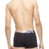 Calvin Klein Reimagined Heritage Pride Micro Low Rise Trunk NB3156