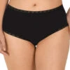 Natori Bliss Cotton Full Brief Panty 755058