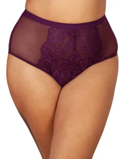 Playful Promises Gabi Fresh X Playful Promises Bella Lace High Waist Brief PPGHW041