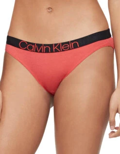 Calvin Klein Comfort Cotton Bikini QF6580 -Underline Fashion Store QF6580 660 main
