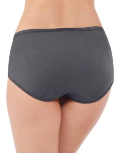 Vanity Fair Illumination Hip Brief 18107 -Underline Fashion Store Vanity Fair 18107 Steel Violet B 2