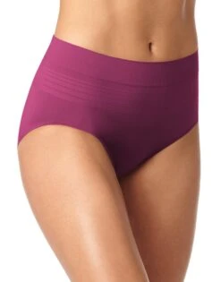 Warner's No Pinching No Problems Seamless Brief Panty RS1501P 21 Warner's No Pinching No Problems Seamless Brief Panty RS1501P -Underline Fashion Store WA RS1501P CBJ 2434c14a aa90 45fc 82cc 40e3acf9c082