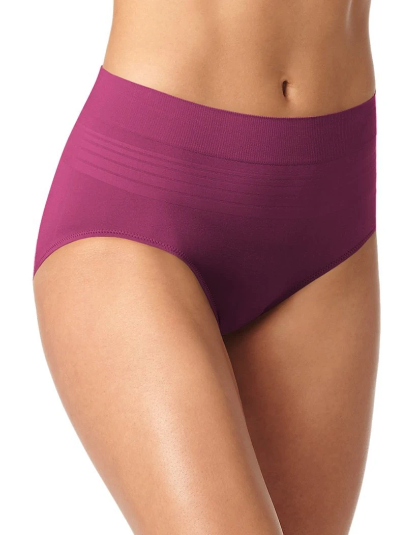 Warner's No Pinching No Problems Seamless Brief Panty RS1501P 9 Warner's No Pinching No Problems Seamless Brief Panty RS1501P - Image 9