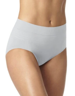 Warner's No Pinching No Problems Seamless Brief Panty RS1501P 23 Warner's No Pinching No Problems Seamless Brief Panty RS1501P -Underline Fashion Store WA RS1501P GHT 58a13d75 7c50 4355 bc32 43f5212a978d
